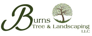 Burns Tree and Landscaping Services Wisconsin