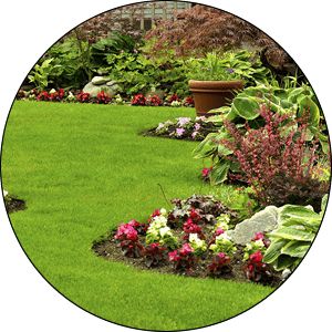 Waukesha Landscaping Services and Installation