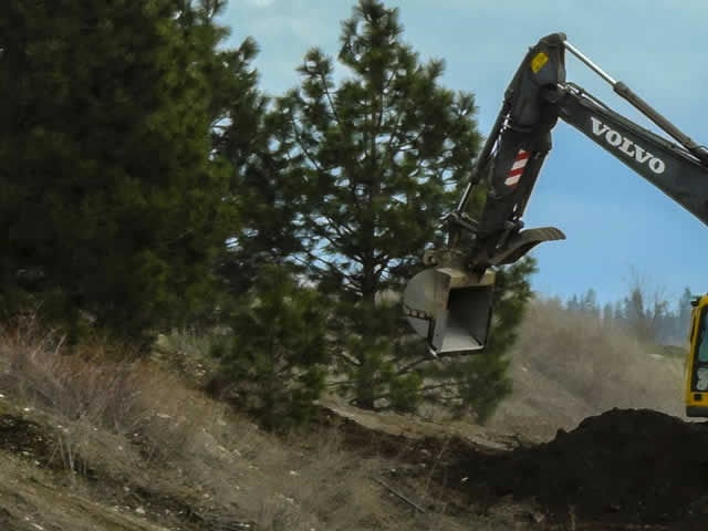 Land Clearing Services