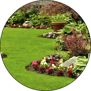 Menomonee Falls Landscaping Services and Installation