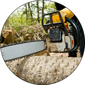 Delafield Tree Removal Services